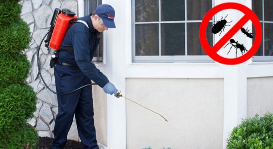 Akçakale Akrep İlaçlama böcek ilaçlama ve haşere kontrolü — ilaclama-tr.com